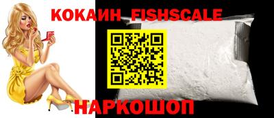 стаф Дубна