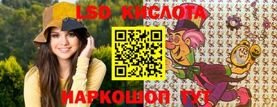 стаф Дубна