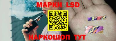 стаф Дубна