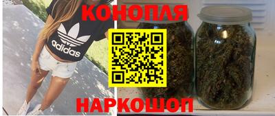 стаф Дубна