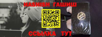 стаф Дубна