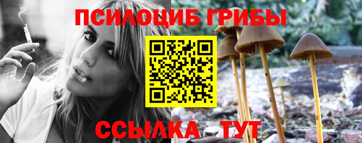 Псилоцибиновые грибы ЛСД  закладки  Долгопрудный  Вход с VPN  Галлюциногенные грибы ЛСД 